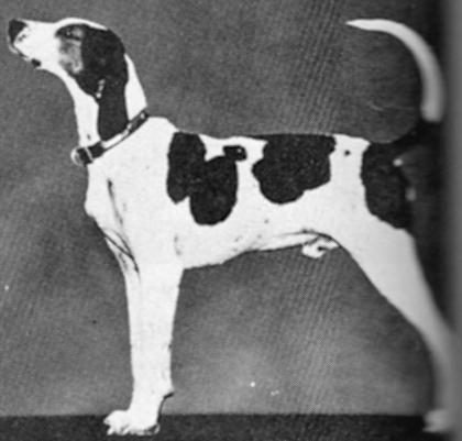 Stan's Sailor Junior