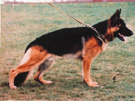 V Quint von der Wienerau