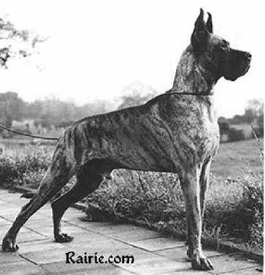 Bs72.73 Es74Ws74DtFrBelg Opal von Harlekin (1971)