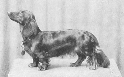 Lucy vom Drachenfels