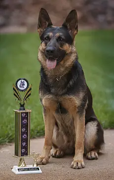 Reva vom Haus Salztalblick