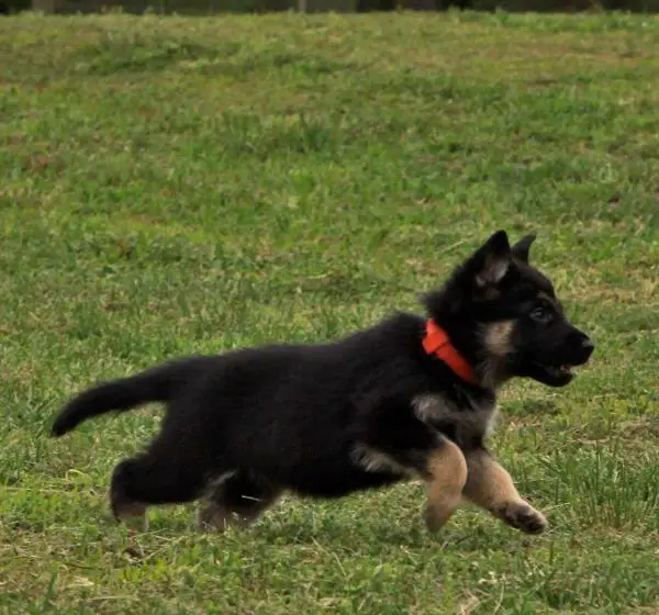 Prime Von Hügelblick
