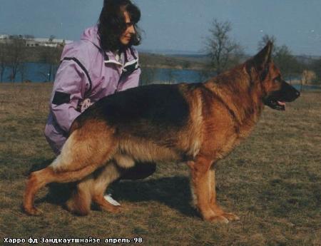 Harro von der Sandkautschneise