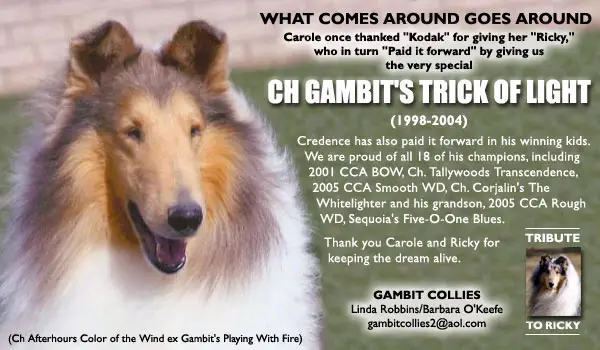 CH Gambit's Trick of Light
