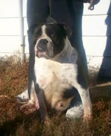 Cortez demonica stinson