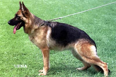 Ina du Manoir de Junon