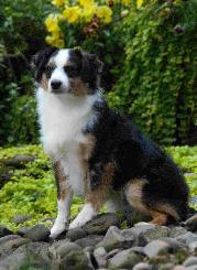 Rafter Bottle Busy Being Blue of TMR