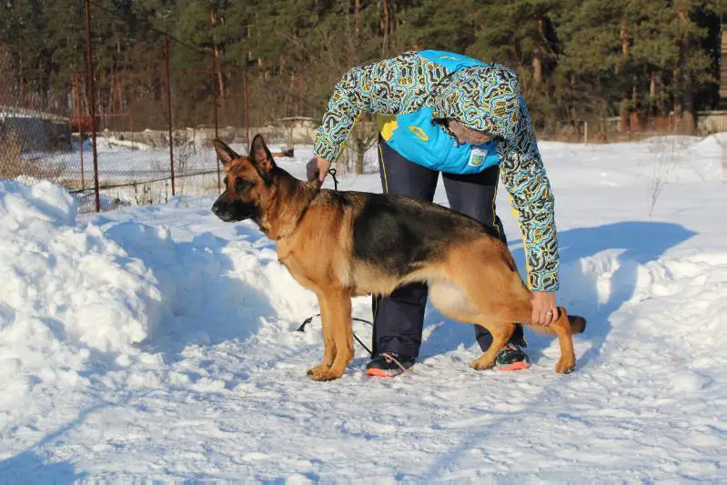 Elza der Geist von Mathilde