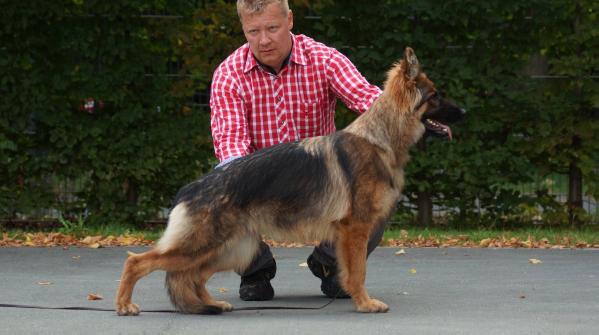 SG26 BSZS 2014, SG1 PL 2014 BEAUTY Urban Team