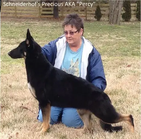 Schneiderhof's Precious