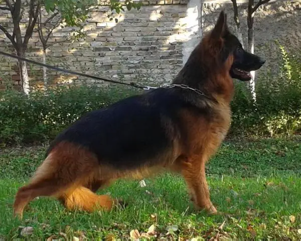 Besta vom team Panoniansee