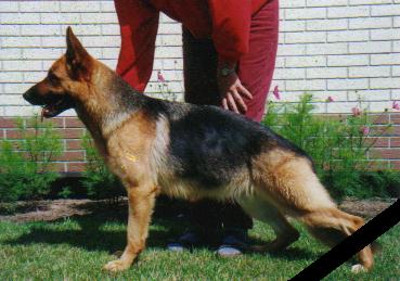 Chiepsie vom Krummenhäger See