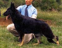 Snowy River's Joeks on You