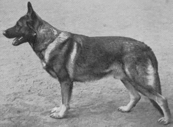 VA2 Fels vom Vogtlandshof