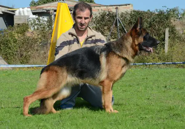 SG Charlott de la Nacio Catalana