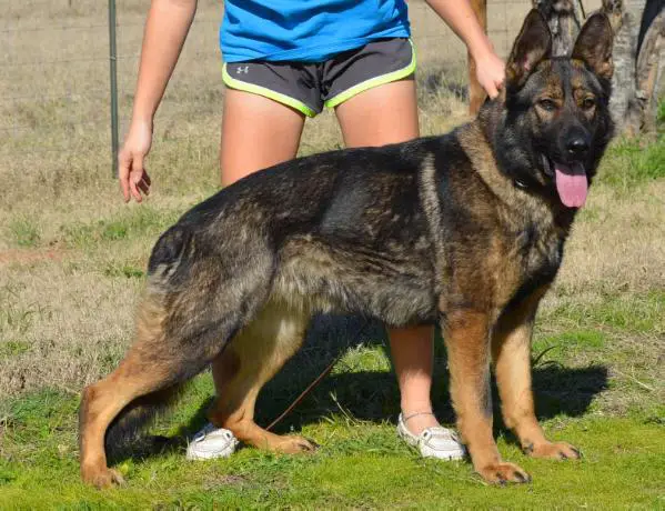 Fatty od Hradcanskeho rybnika