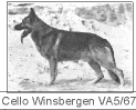 VA Cello aus den Winsbergen