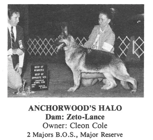 Anchorwoods Halo