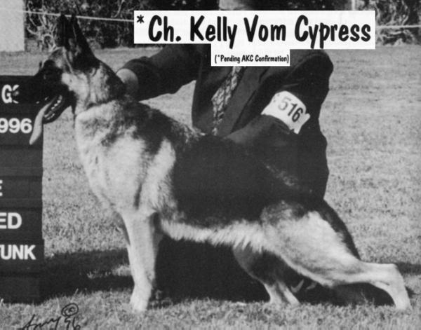 CH Kelly von Cypress