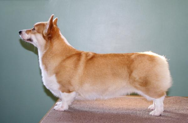 CH Wendt Worth Hot In Cleveland