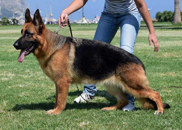 SG Onya di Gibilmanna