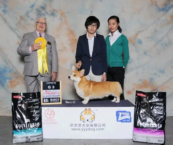 Riverside Wicked Popular