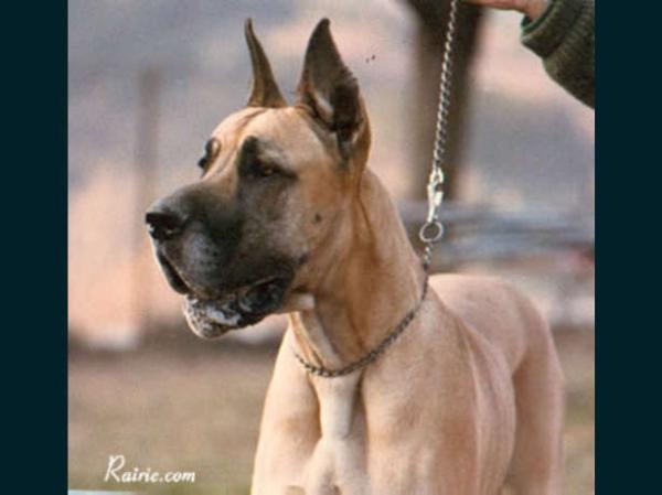 Noella Du Gui De La Michardiere