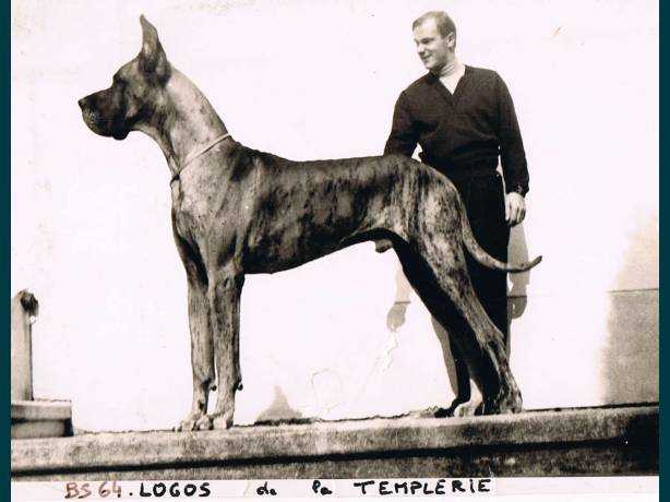 CH Logos de la Templerie