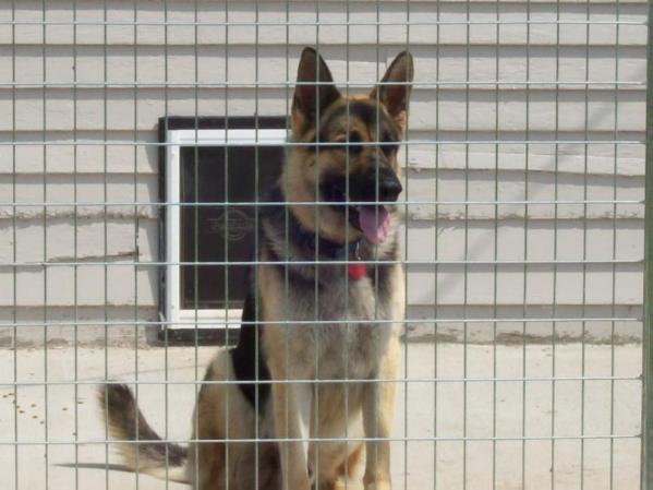 Duke Vom Frankenthal