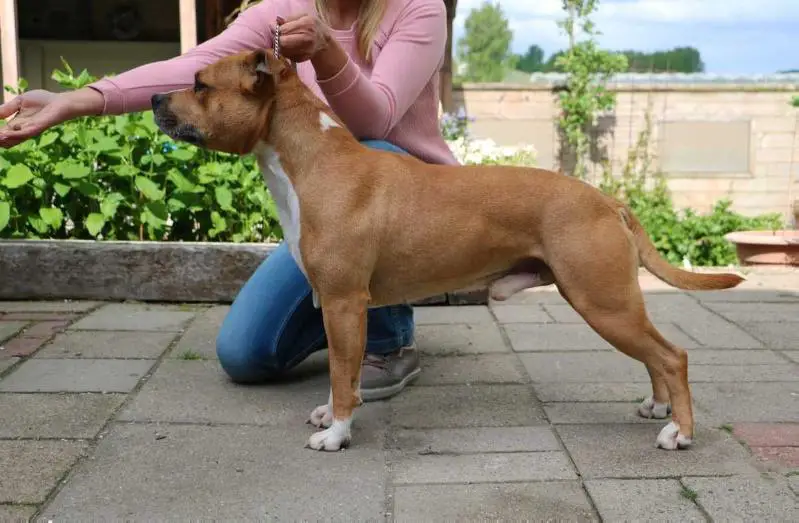 Ground Zero Kick Ass