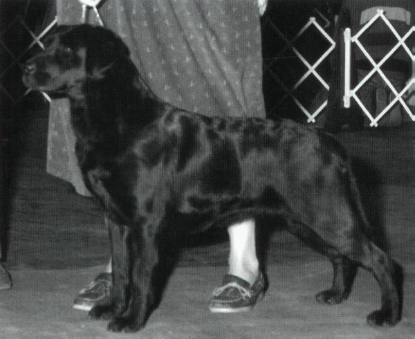 Valleywood Catch The Spirit