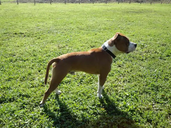 Painstaking always love me