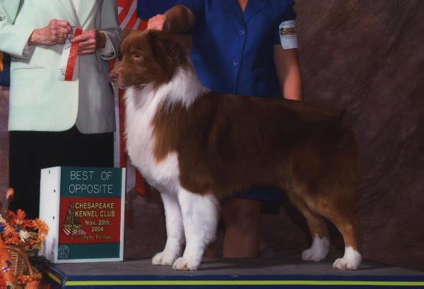 CH Legacy Liberty All The Rave