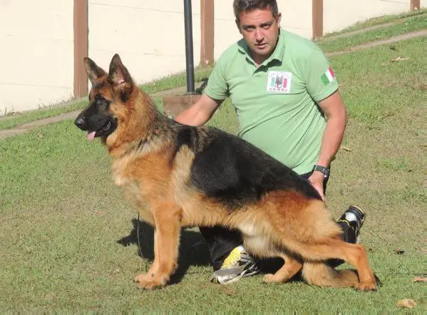 Urkus von Ghattas