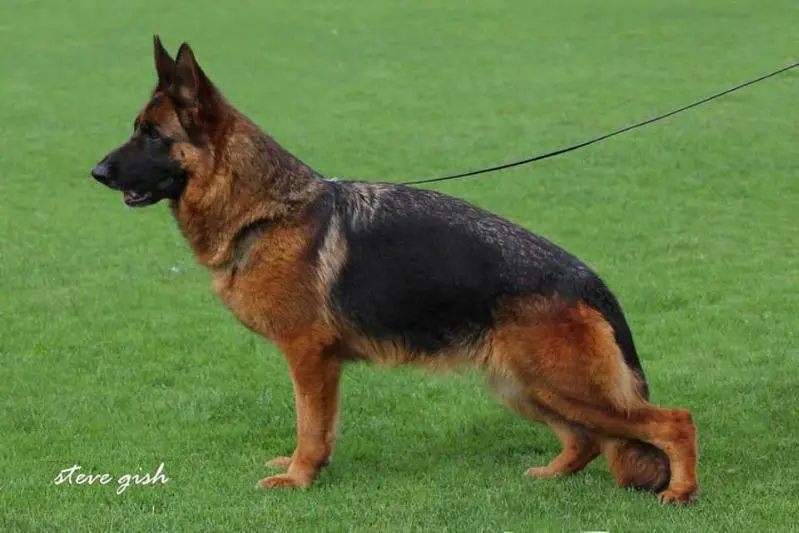 SG Ursa von Ghattas