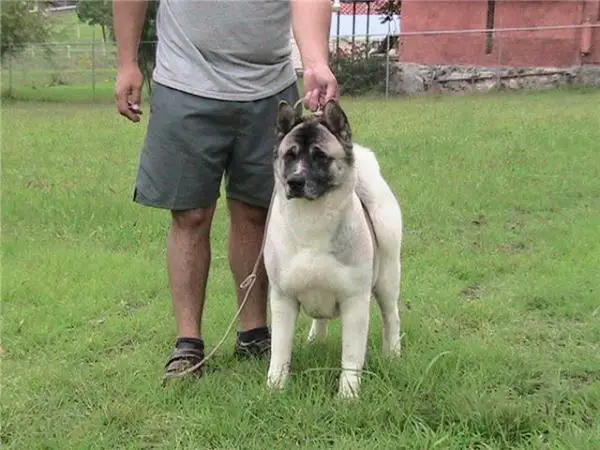 Elena De Troya (Gonzalez)