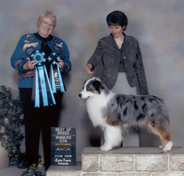 MULTI BIS CKC/ASCA Sheep's Kin Cowboy Poetry
