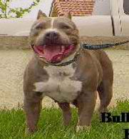 PR Razors Edge Top class Kiana