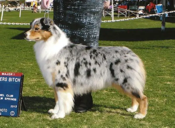 CH Testimony She's All That