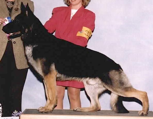 Silvercreek's Dakota Dream