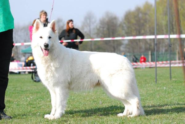 U're Pretty vom Sutumer Grund