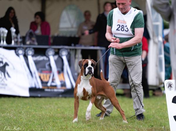 MULTI CH & MULTI JZ Ñoqui Santa Cruz del Ius natura