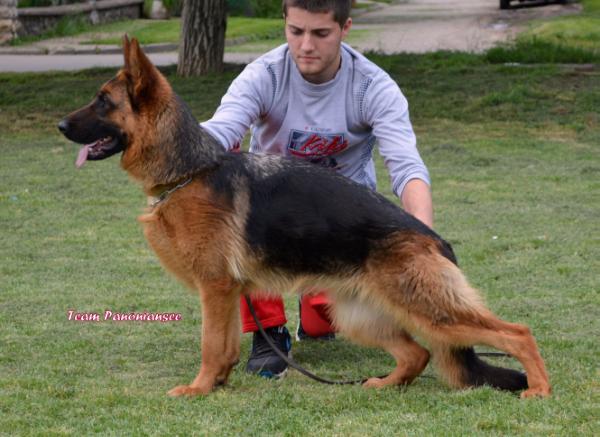 Fifi vom Team Panoniansee