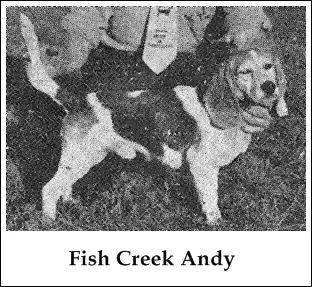 Fish Creek Andy