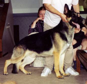 Kubistraums Code Red