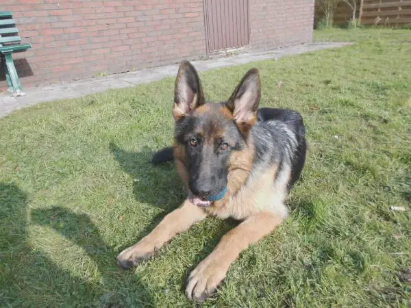 Ilja vom Julianenweg