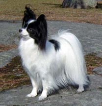 Forever A Pretty Package