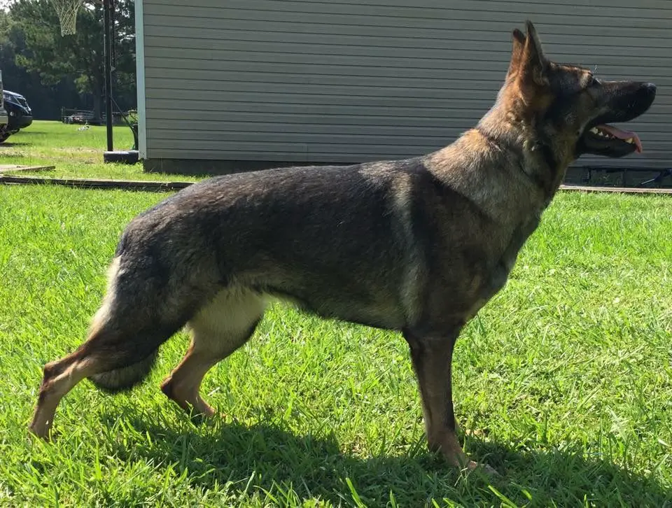 Asmaly Brenda From Kyar's Home