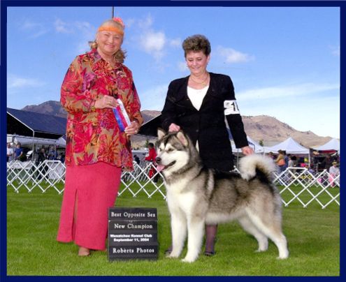 GCH CH Peace River's She's All That