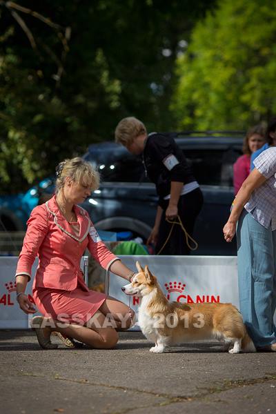 Hailait's Zena For  Mistycor